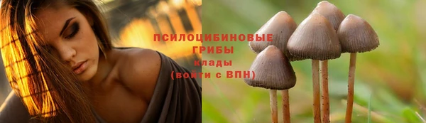 а пвп мука Абинск