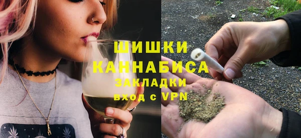 PSILOCYBIN Алзамай
